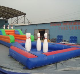 T11-642 Игра в боулинг