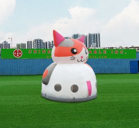 T2-4759 Батут Cat Dome