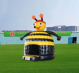 T2-4849 Disco Bee Pump House