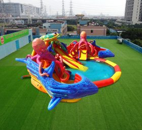 Pool2-801 Аквапарк «Кит»