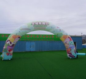 Arch2-502 Надувная арка