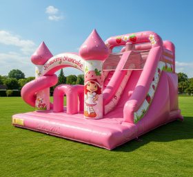 T8-8090 Надувная сухая горка Strawberry Shortcake