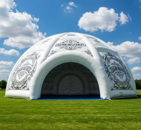 Tent1-4834 Надувные изделия Надувной купол