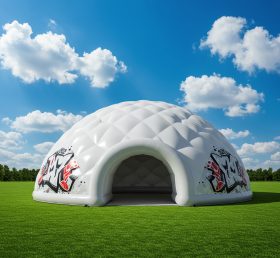 Tent1-4898 Спортивный надувной купол
