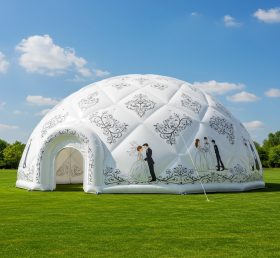 Tent1-4920 Свадебный надувной купол