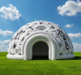 Tent1-4922 Надувной купол Чемпионата мира