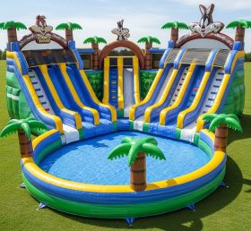 Pool3-305 Водный парк с тематикой Looney Tunes