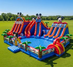 Pool3-314 Водный парк с тематикой Микки и Минни