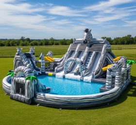 Pool3-553 Водный парк с бассейном в зебровом стиле
