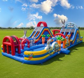 Pool3-628 Водный парк с тематикой Looney Tunes