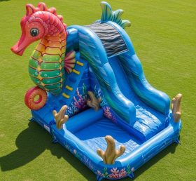 T8-5797 Надувная водная горка с морским коньком