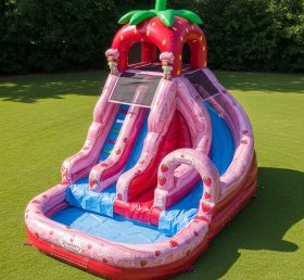 T8-7497 Надувная водная горка в стиле Strawberry Shortcake