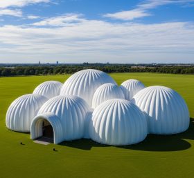 Tent1-6231 Белый купольный кластер надувной купол