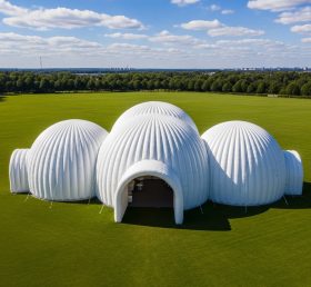 Tent1-6234 Белый купольный кластер надувной купол