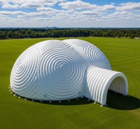 Tent1-6239 Спиральный Вихревой Надувной Купол