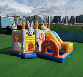 T2-8804 Батут в стиле Looney Tunes с горкой и бассейном